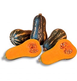 No hay imagen establecida 